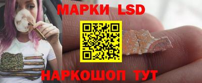 стафф Донецк