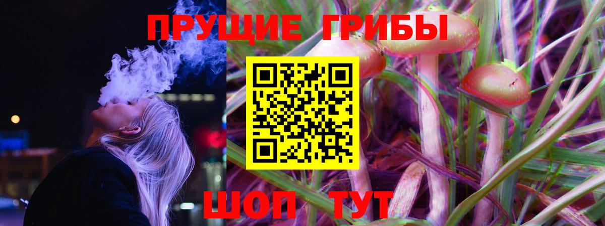 Зеленокумск  Псилоцибиновые грибы мицелий  Вход с VPN 