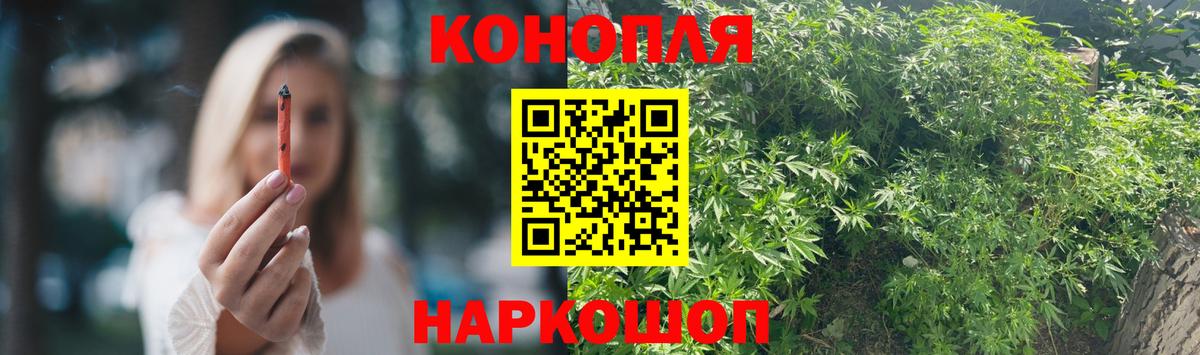 Конопля план Зеленокумск